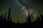 Wyoming, Medicine Bow National Forest. Milky Way and shooting stars from Perseids meteor shower. Art Print